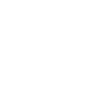 2N
